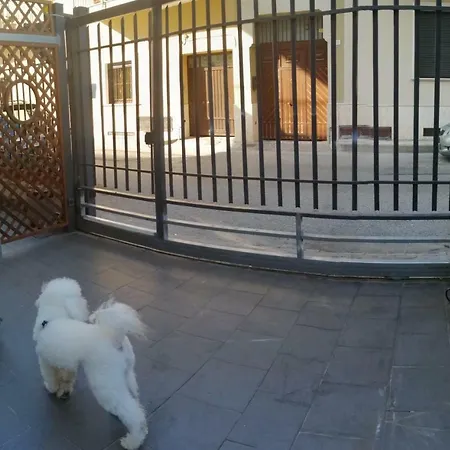 Apt. Re Nasone Caserta